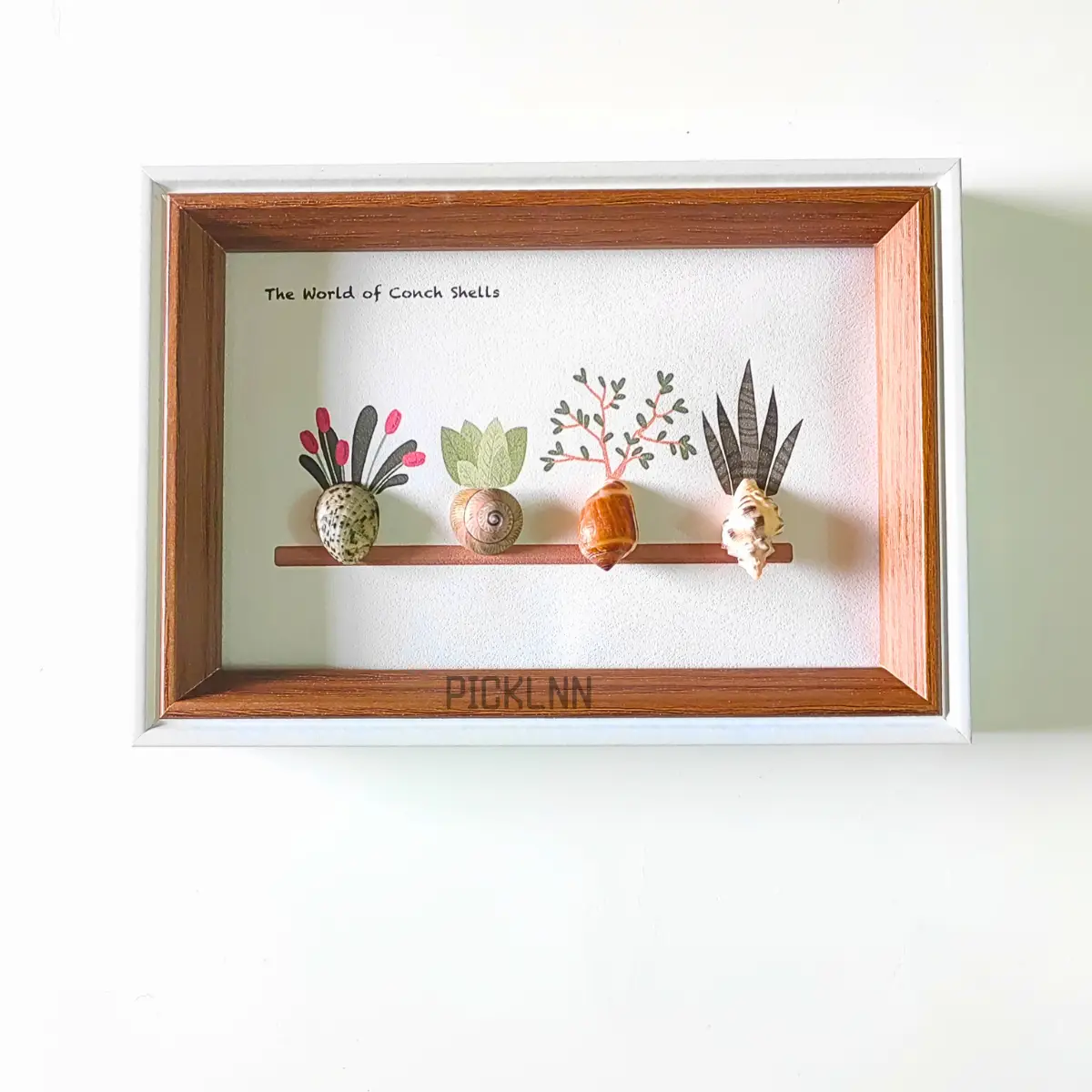 Handcrafted shell art frame with four conch shells and botanical drawings