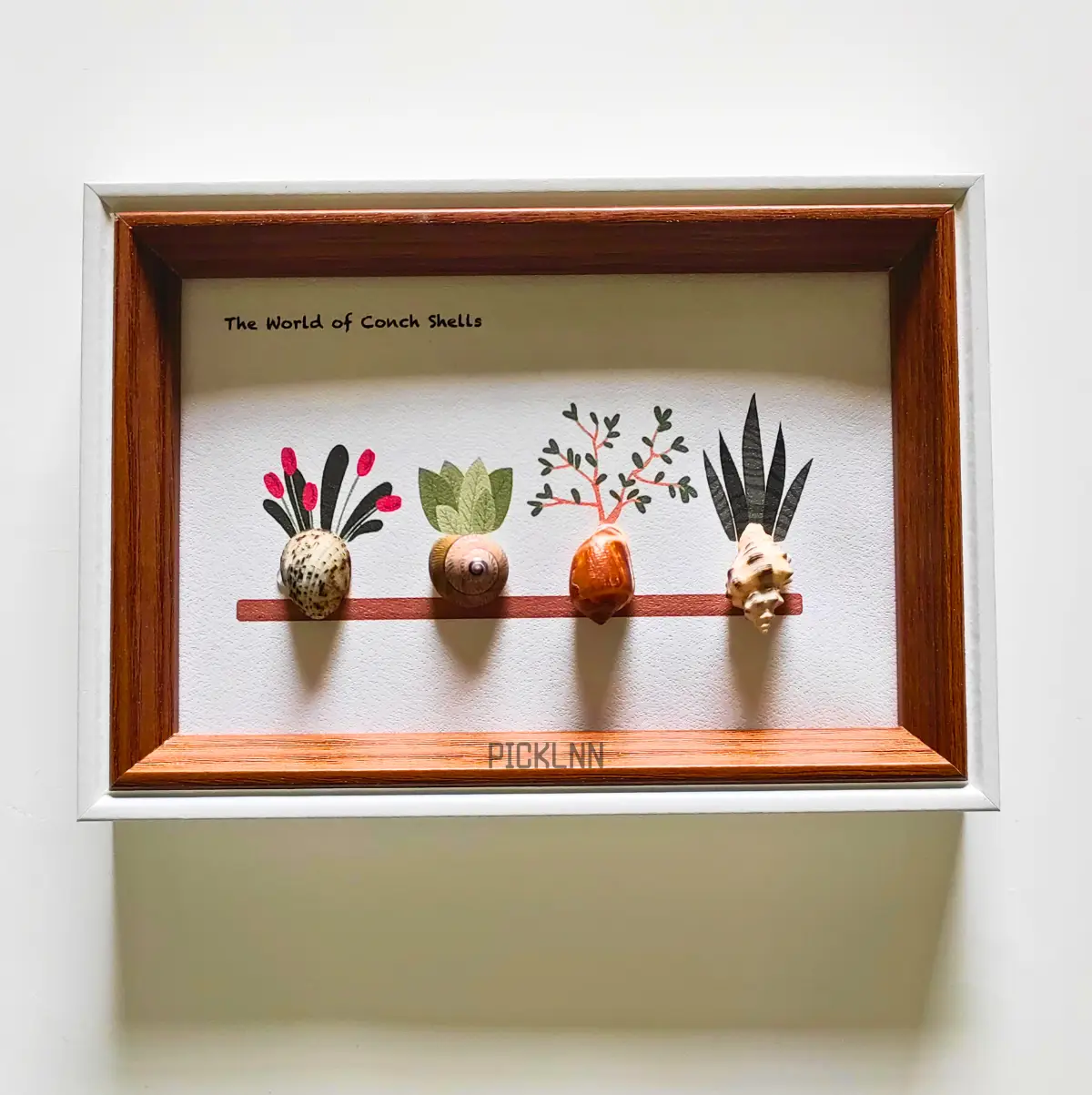 Framed conch shell art with botanical illustrations