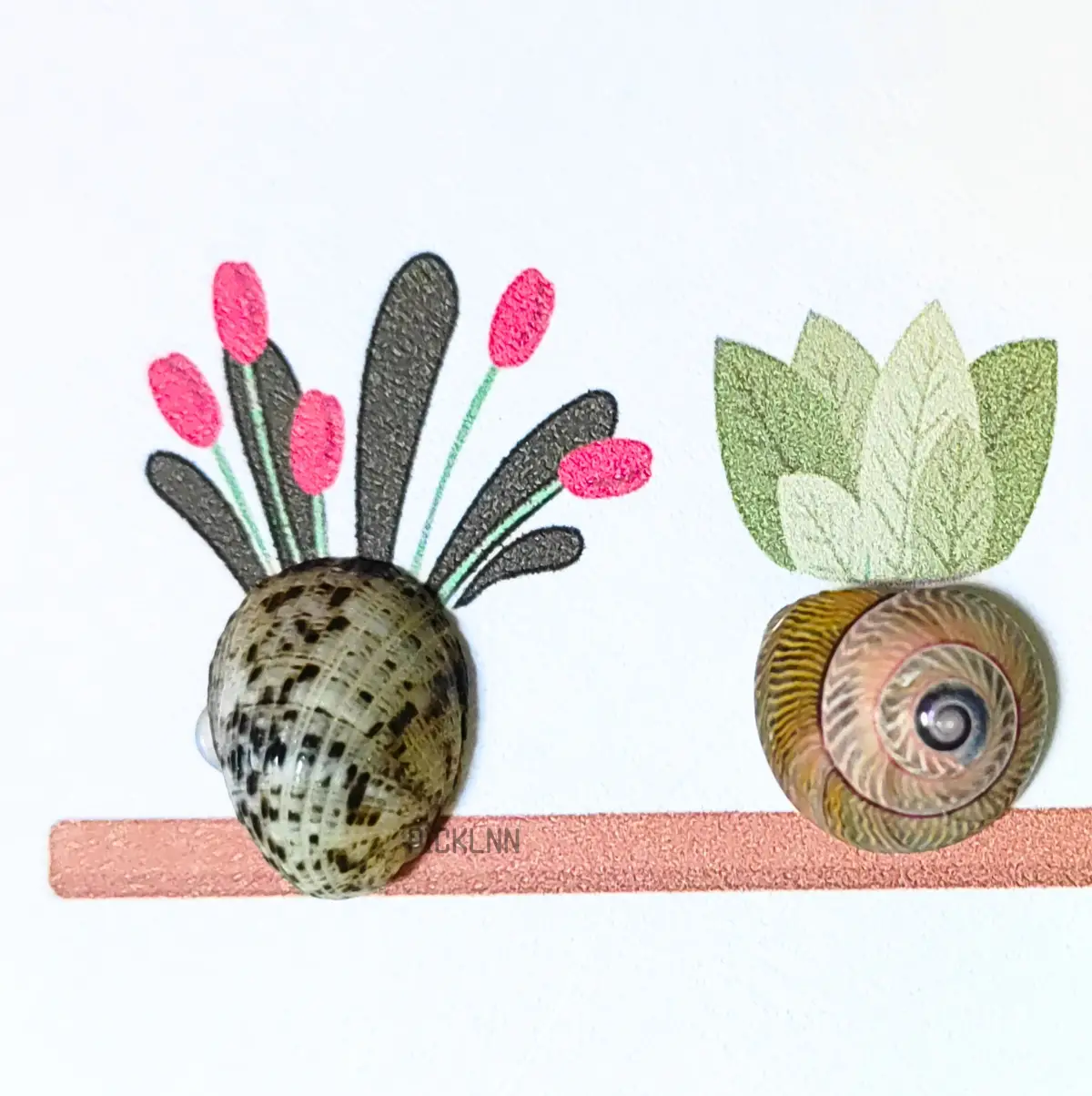 Close-up of real conch shells arranged as mini plants in an art frame