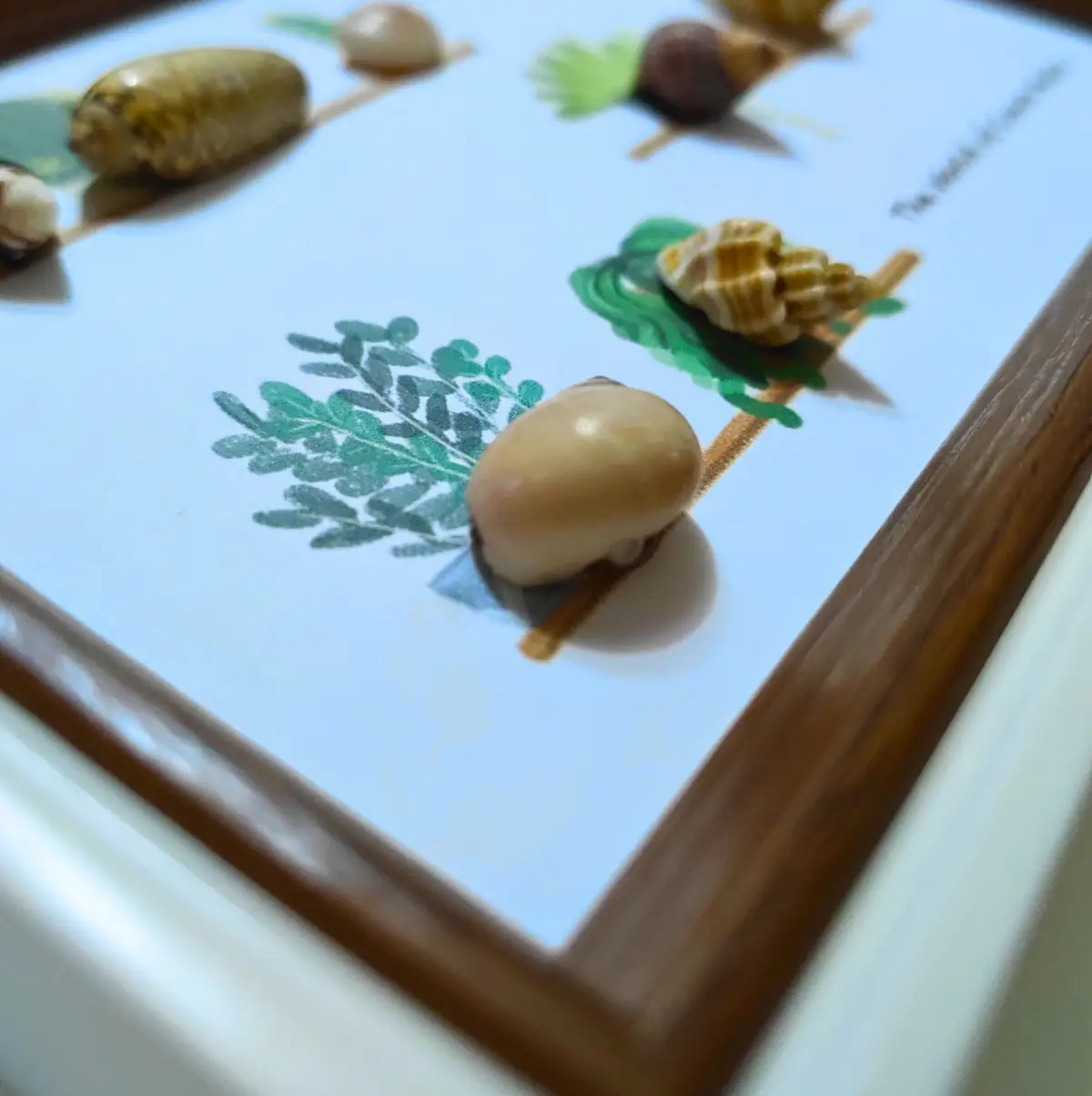 Pinewood border and textured sand in Shello No.3 frame