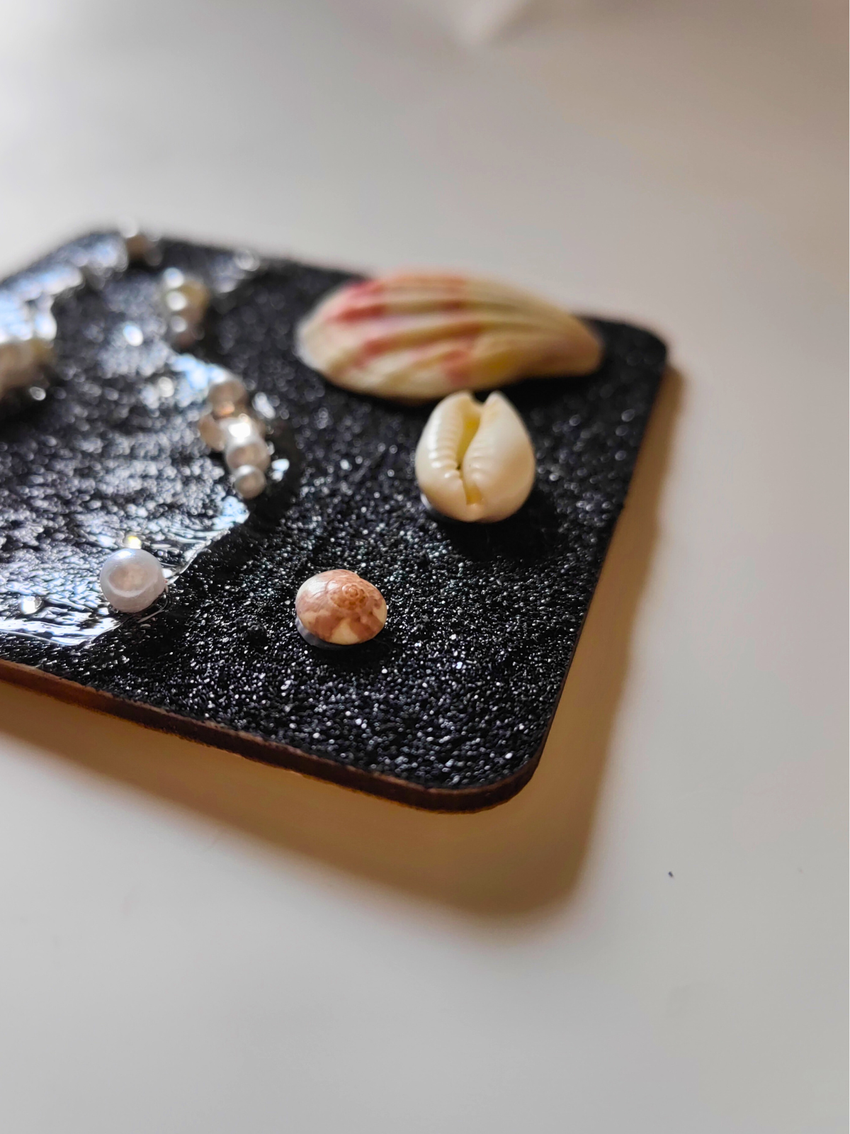 Close-up of round shell composition on wooden disc