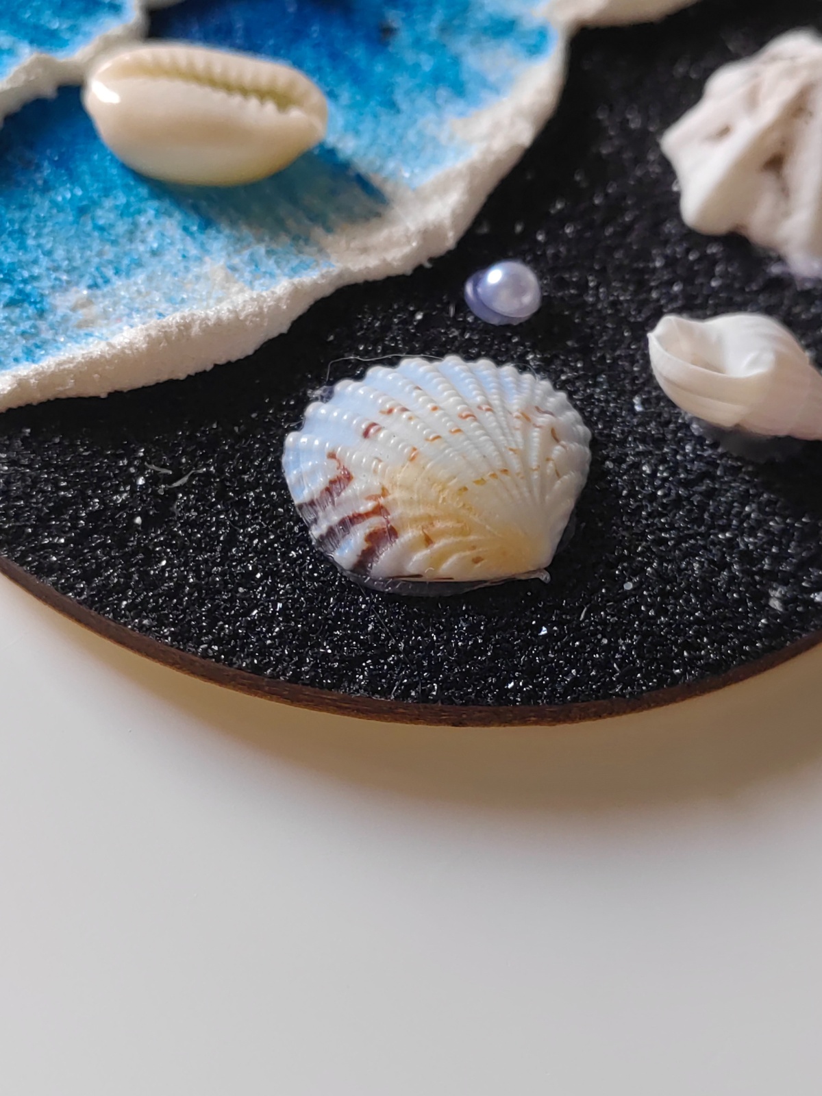 Handcrafted seashell magnet on wooden disc